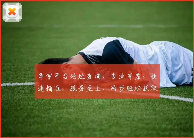 华宇平台地址查询，专业可靠，快速精准，服务至上，两步轻松获取